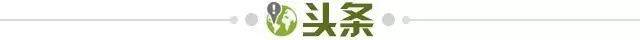 开云体育app-【早报】主场连戴帽+德甲射手榜第二！莱万再冲金球！